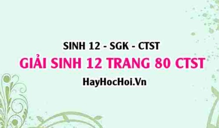 Giải Sinh 12 trang 80 Chân trời sáng tạo SGK